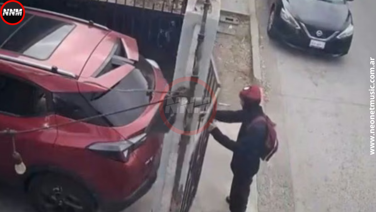 México: Spiderman le cerró la reja a una vecina