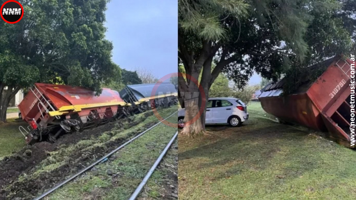Santa Fe: descarriló un tren y cuatro vagones volcaron