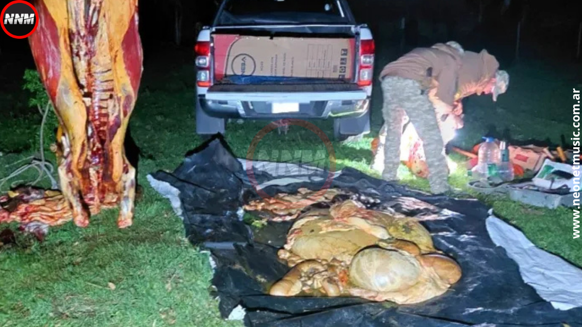 Colón: detuvieron a un hombre por abigeato en un campo