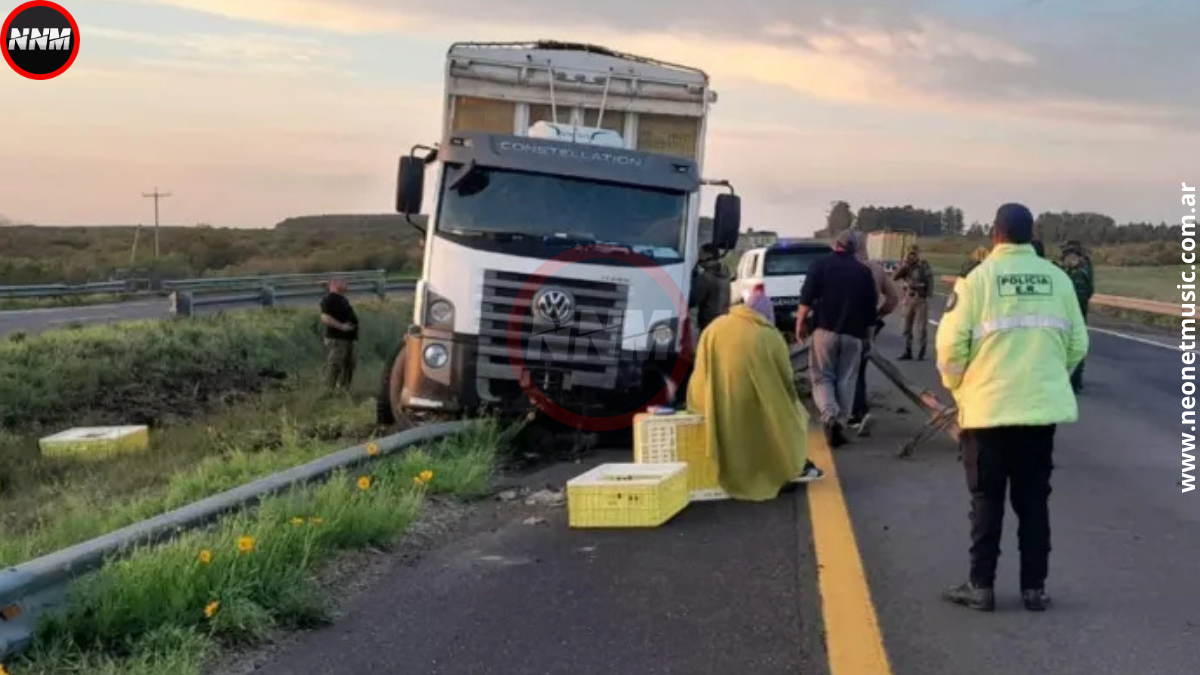 Camión despista al esquivar un ciervo en Autovía 14