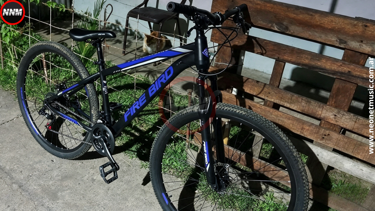 Policía recupera bicicleta robada en General Ramírez