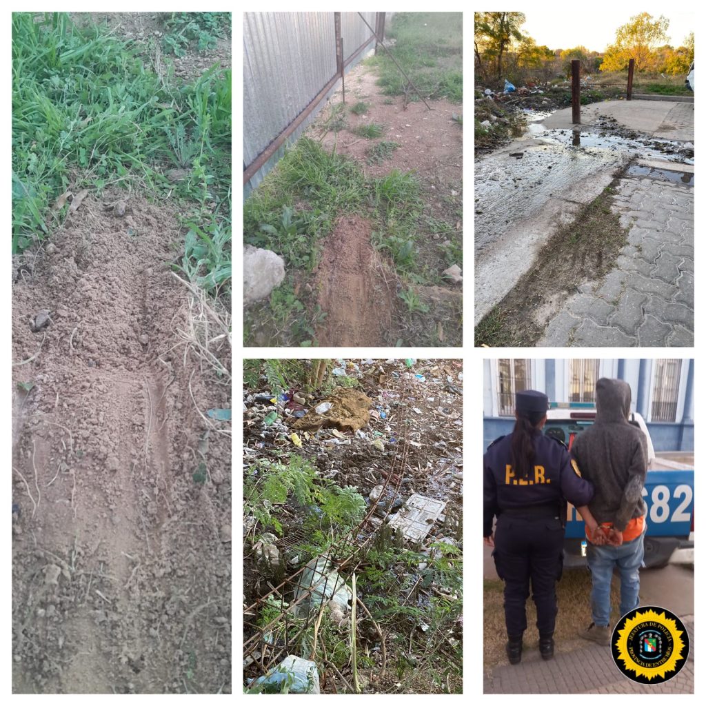 348e6854 5961 4058 bb36 0aba2fdbf5a9