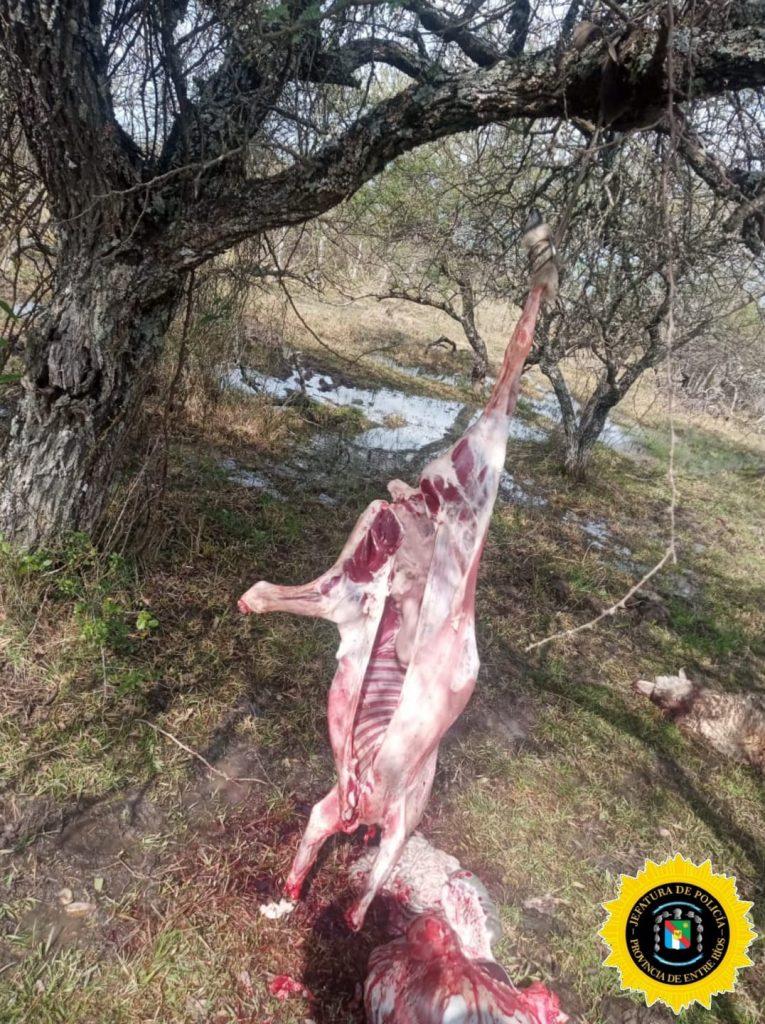 A03684e0 53c7 4683 96fb fa0b16a900cd