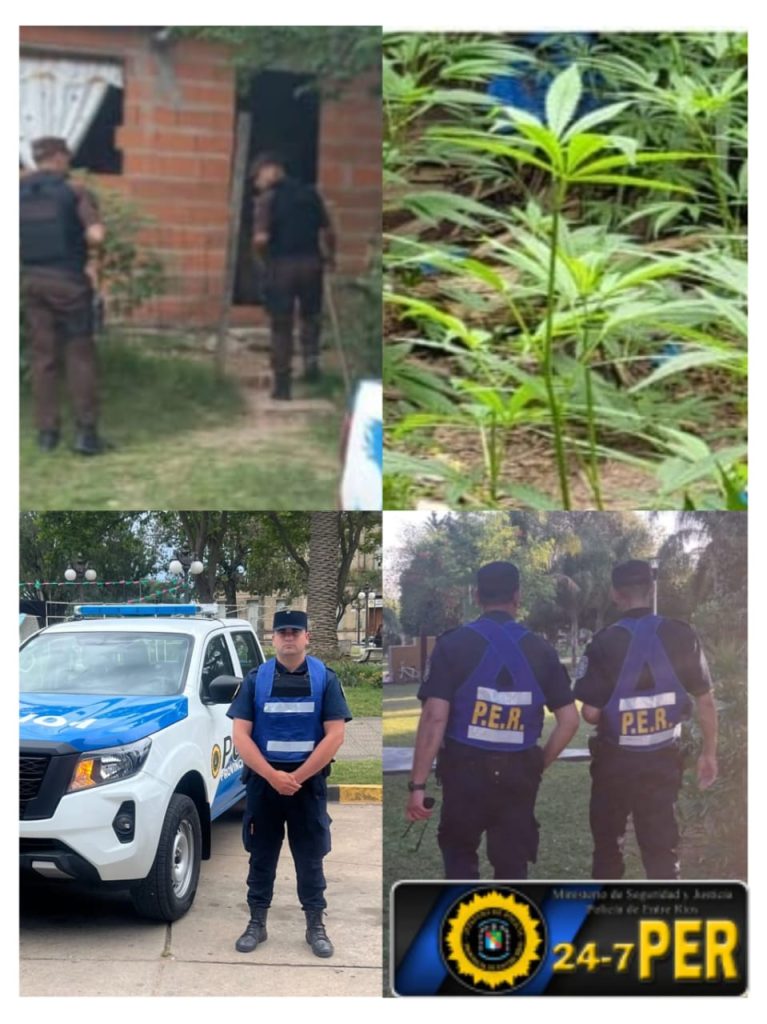 0d7edc92 6d1c 42ac 99b5 3374fbc13f37