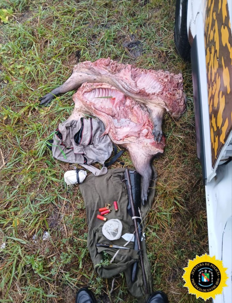 Cf224fc2 53df 4046 8f2e 83391ee916e6